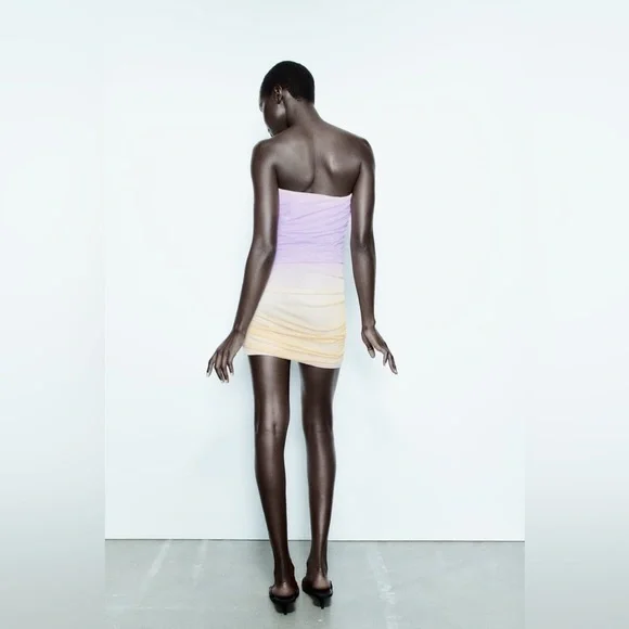 Zara Lilac & Beige Ruched Draped Mesh Mini Dress - Picture 4 of 15
